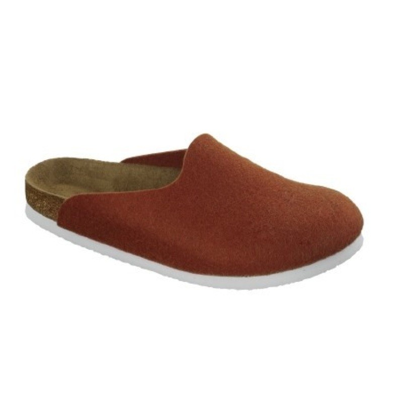 Birkenstock Amsterdam Felt Clogs Slippers Different Sizes and Colors ...